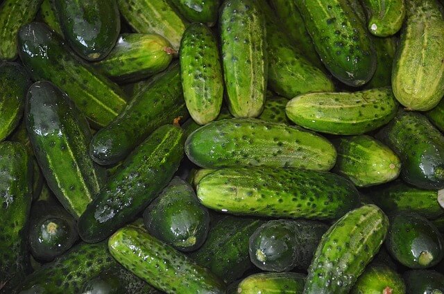 여름철 제철음식2