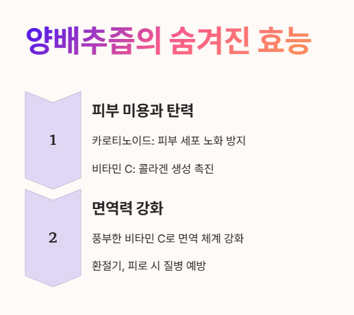 양배추즙 효능 : 피부 미용&amp;#44; 면역력 강화