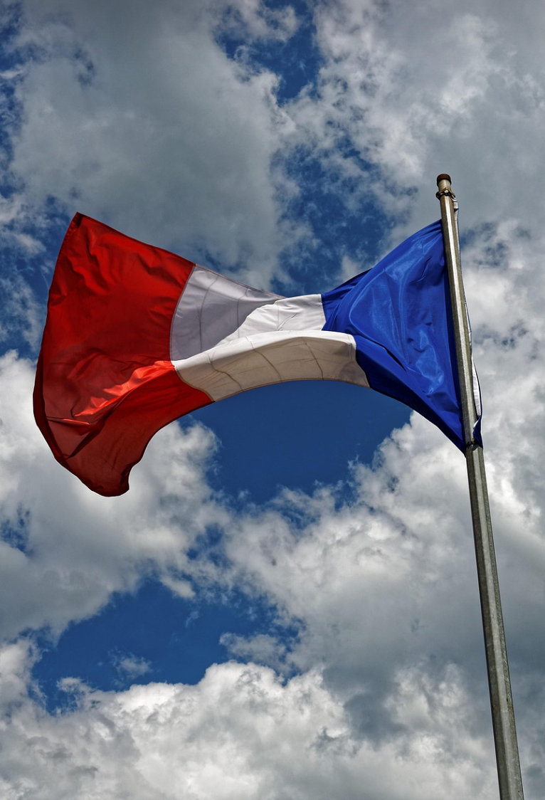 프랑스 국제학교 비교