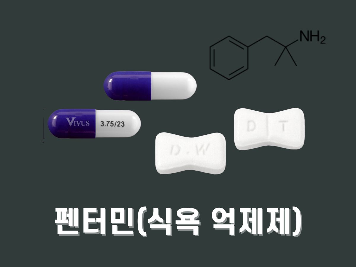 식욕억제제 나비약 성분 펜터민 효과 부작용