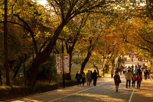 만나이도입