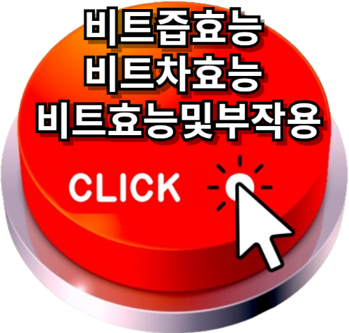 비트즙효능, 비트차효능, 비트효능및부작용