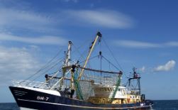 원양어선 연봉 정리