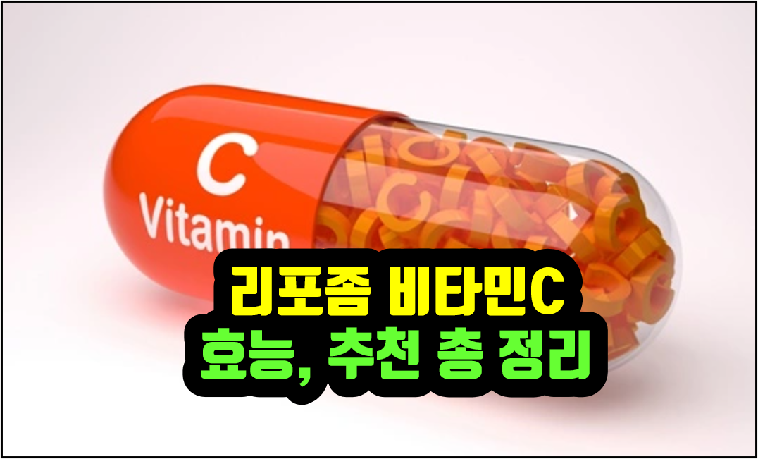 리포좀 비타민C 효능 추천 깔끔히 정리