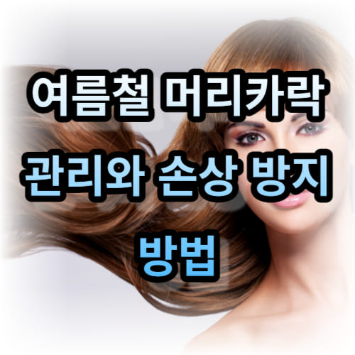 여름철 머리카락 관리와 손상 방지 방법