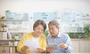 Basic Pension