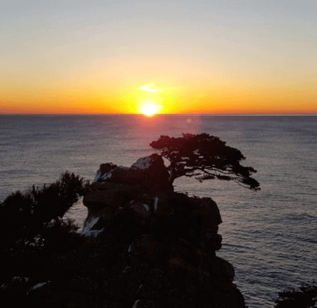 일출일몰-대표-명소