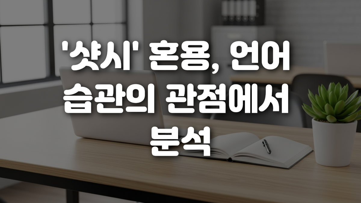 샷시 혼용 언어 습관의 관점에서 분석