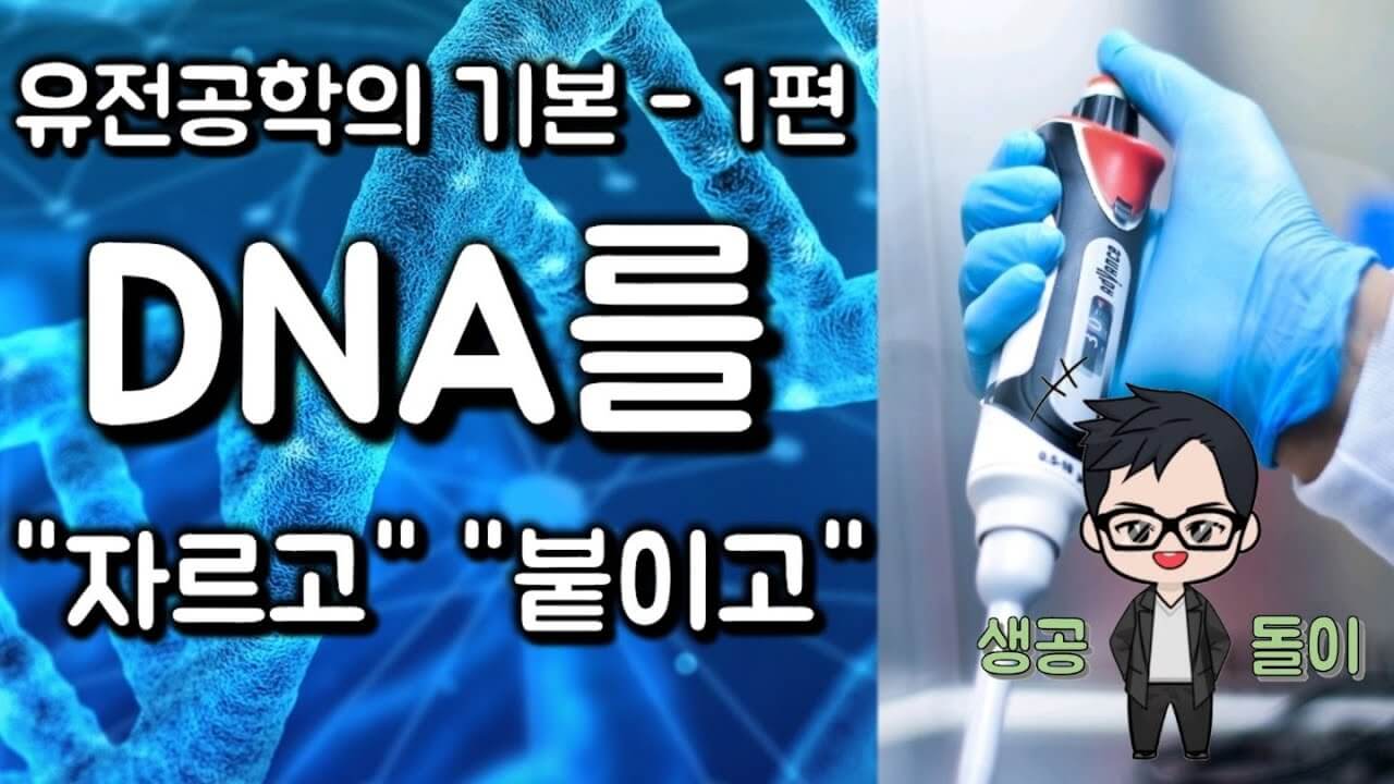 DNA를 자르고, 붙이고