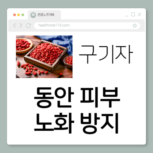 구기자 효능 – 동안 피부의 비밀
