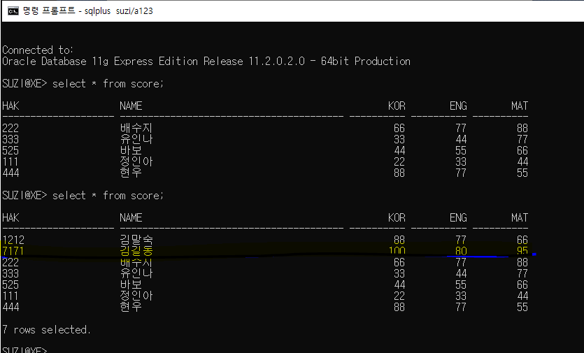 이제 DB에 위의 입력한 데이터가 들어갔는지 확인한다.(CMD에서 확인)