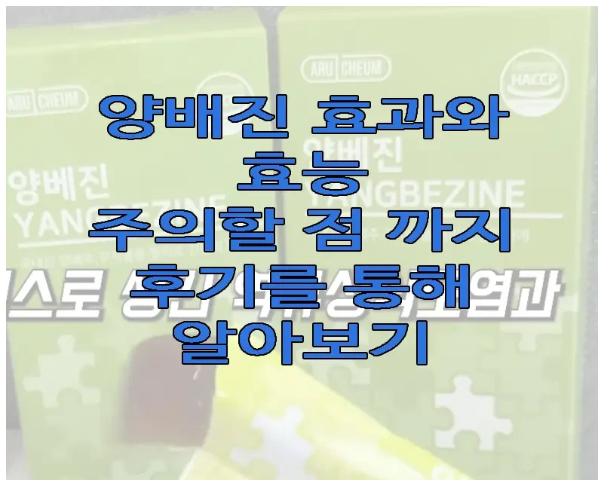 양베진에 관한 글 보러 가기 링크 사진