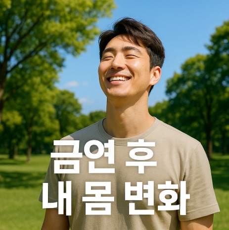 담배 끊고 달라진 내 몸 (수면, 호흡, 입맛)