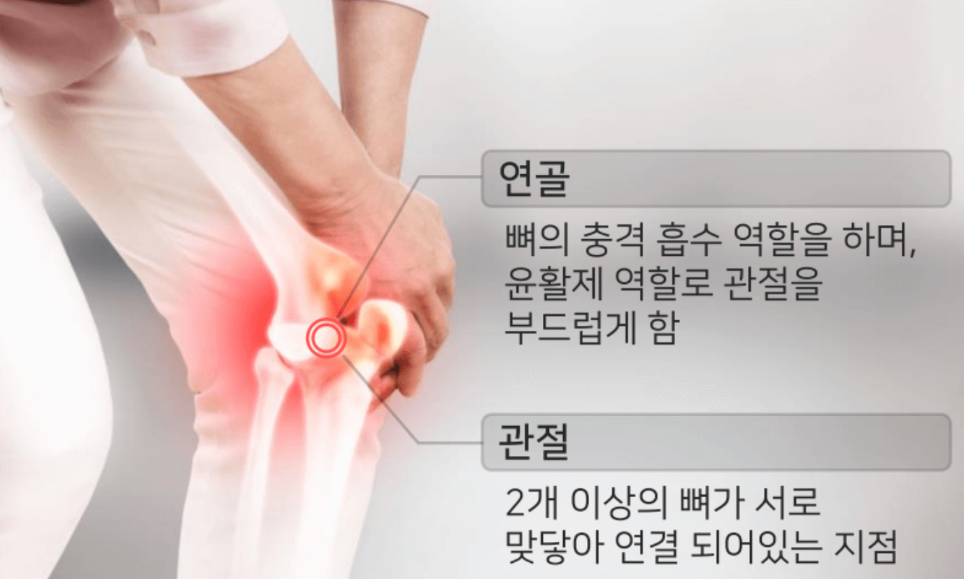 MSM의 효능