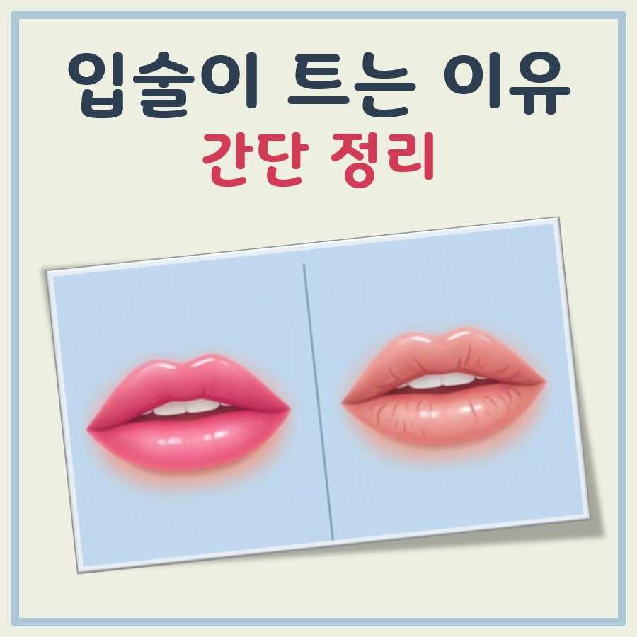 입술이 트는 이유 대표 이미지