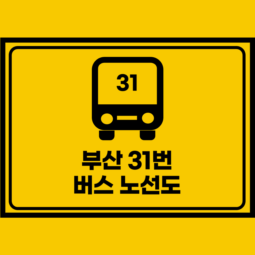 부산31번버스노선도