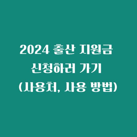 2024 출산 지원금 신청하러 가기 (사용처, 사용 방법)