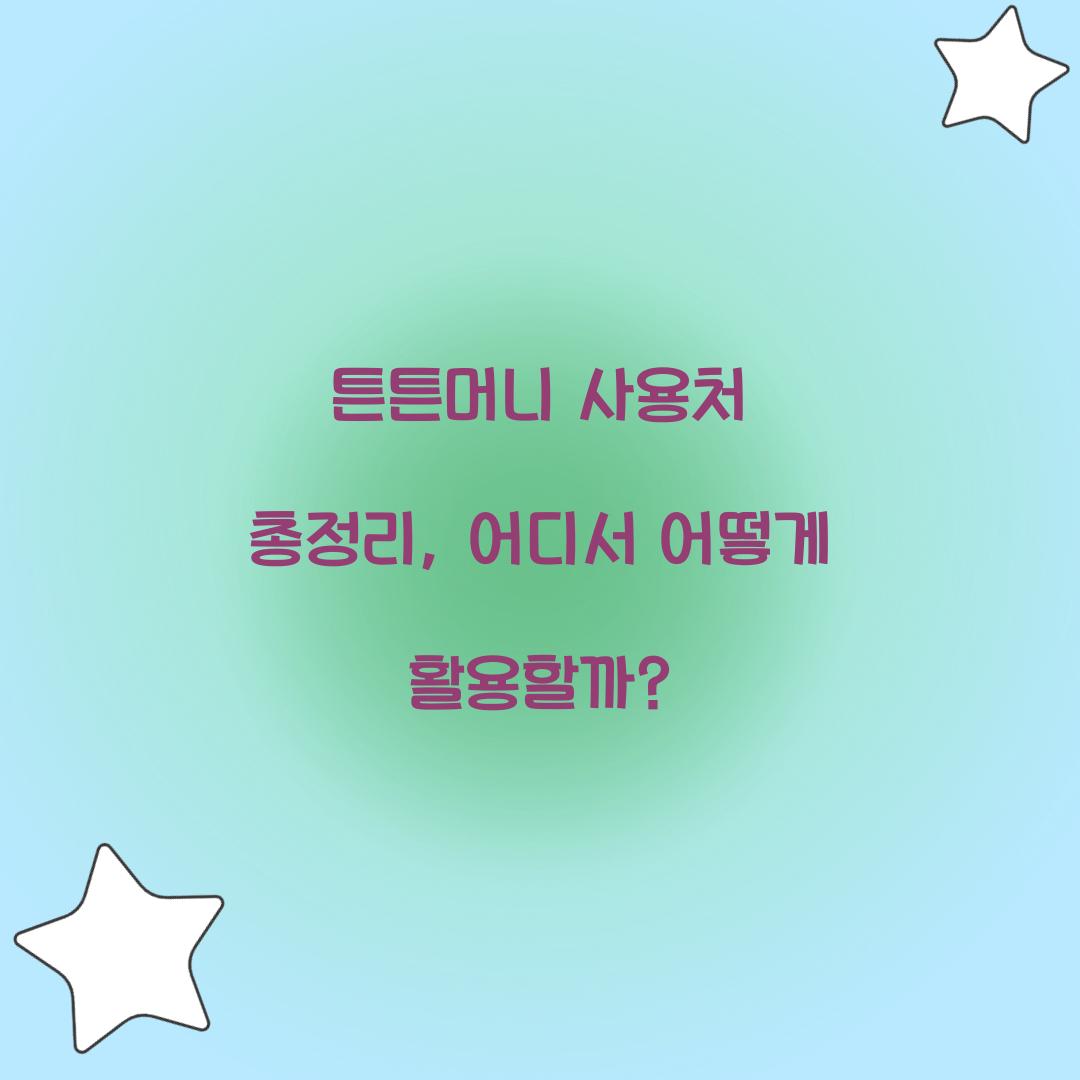 튼튼머니 사용처