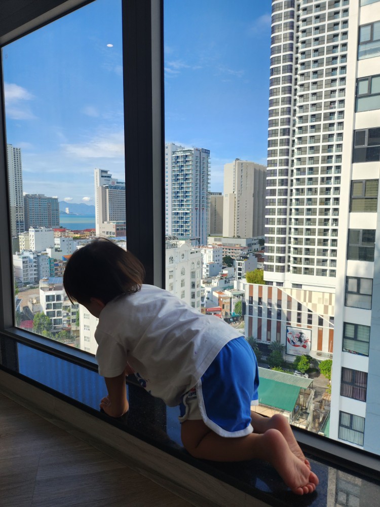 씨티뷰