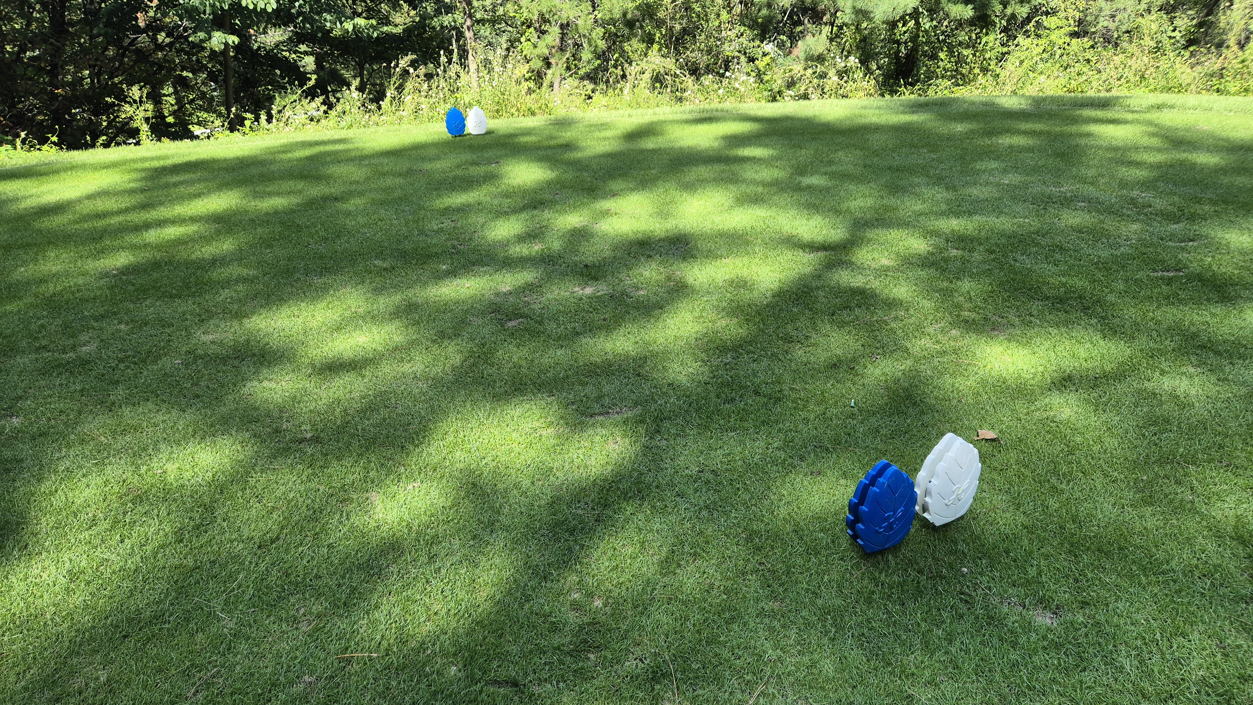 오크힐스cc 티잉구역 상태