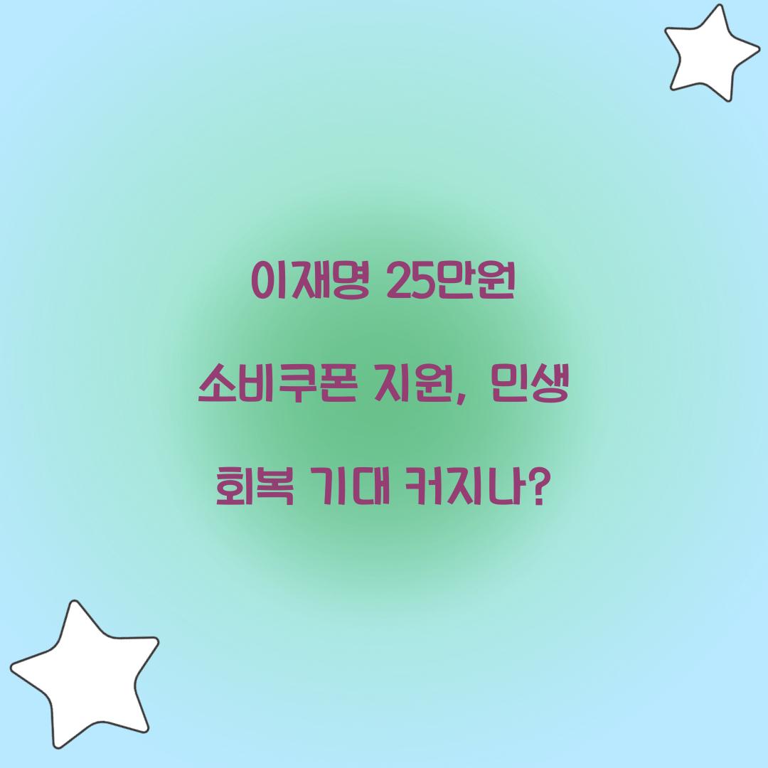 이재명 25만원 소비쿠폰 
