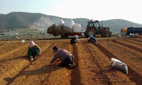 직불금 지원제도