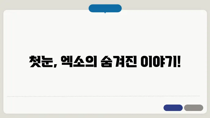 첫눈 감상