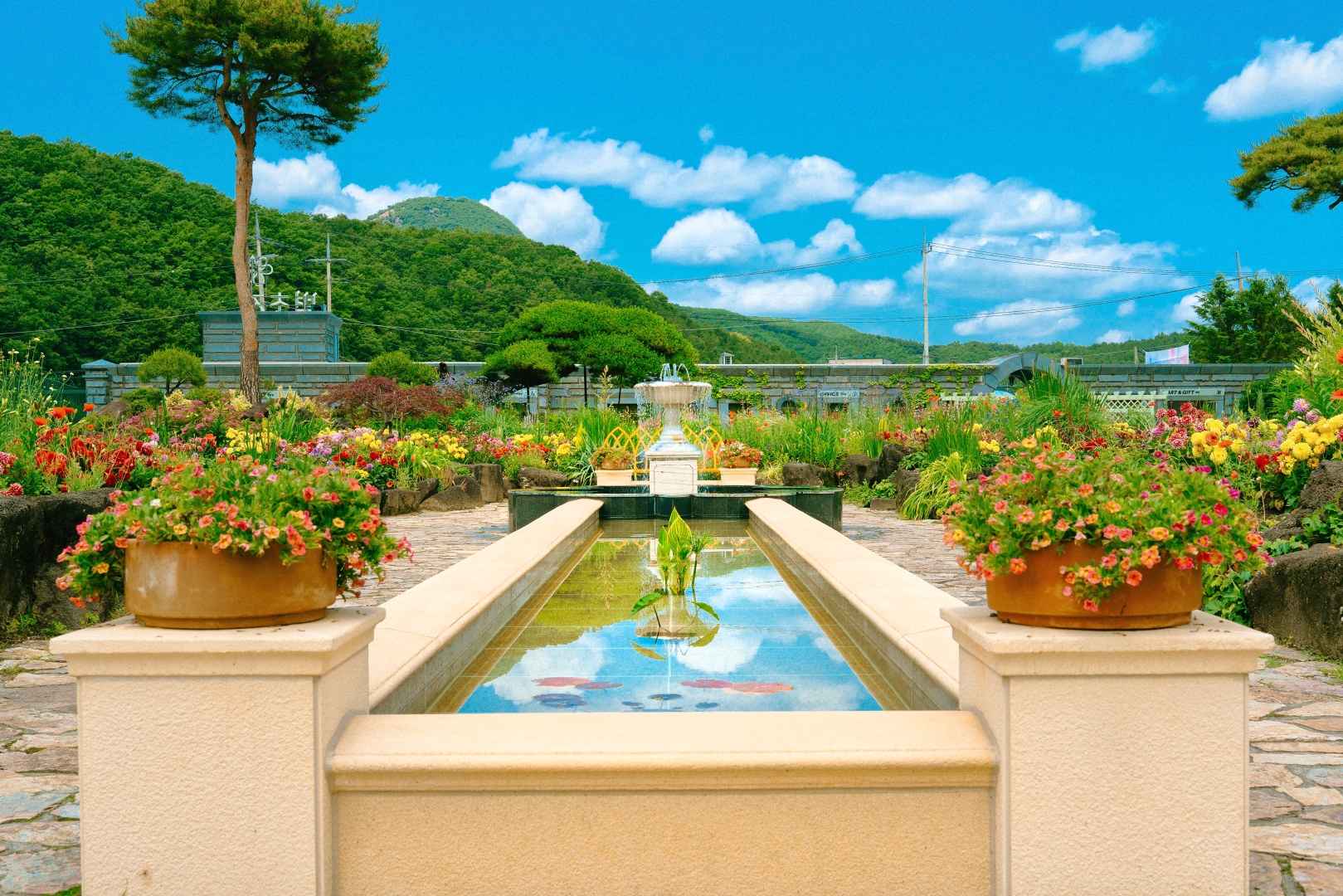 벽초지수목원 튤립 봄꽃축제