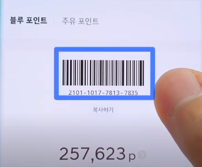 포인트 사용처