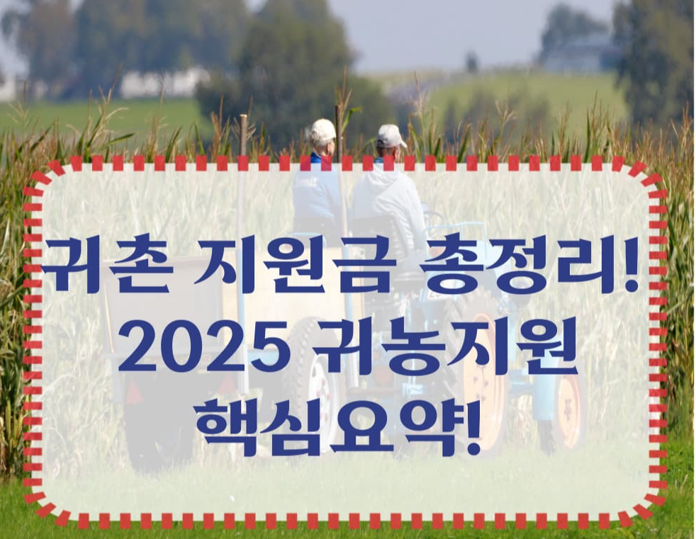 2025 농촌·귀촌 지원사업 추천 TOP 5/ 청년 농부를 위한 지원대상, 신청절차, 지역 차이점 알아보기!
