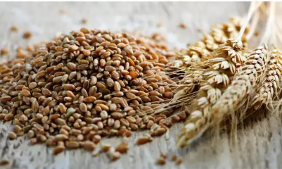 여성 갱년기에 좋은 식품