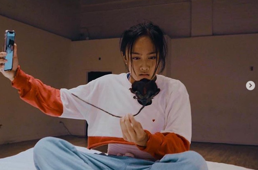 로지스틱스 립제이 배틀 스트릿 우먼 파이터 3