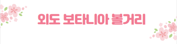 봄꽃 여행지