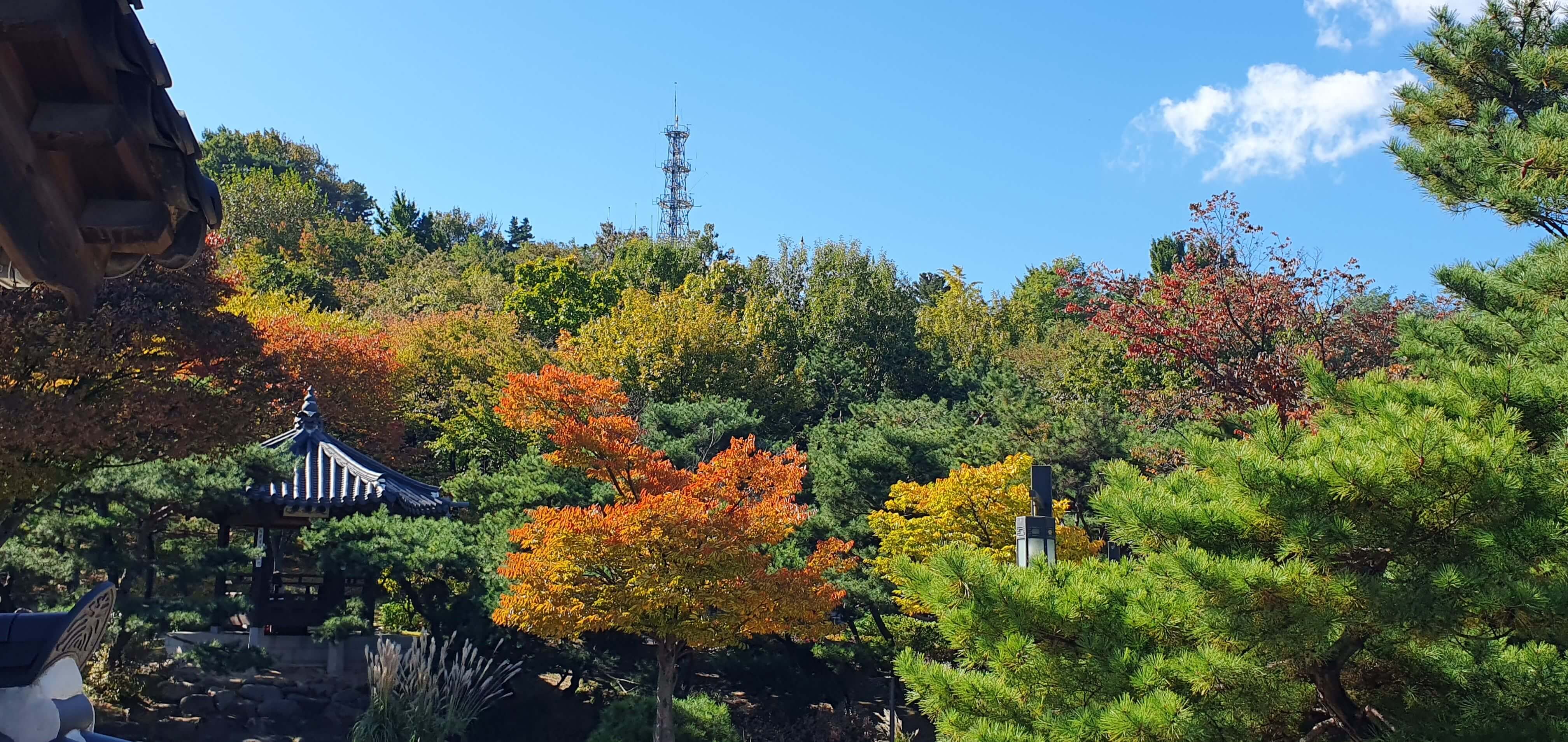 남산 단풍구경