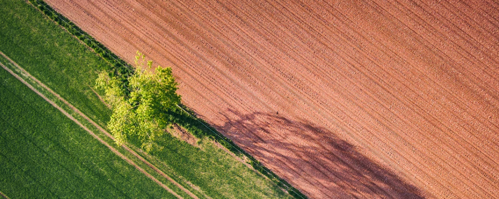 토(土) 오행 많은 사주특징