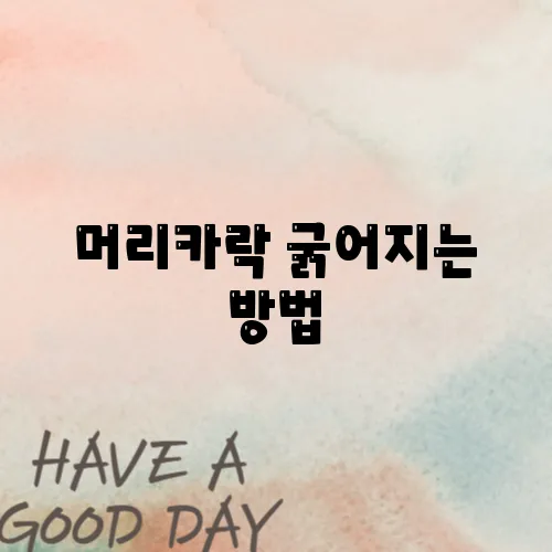 머리카락 굵어지는 방법