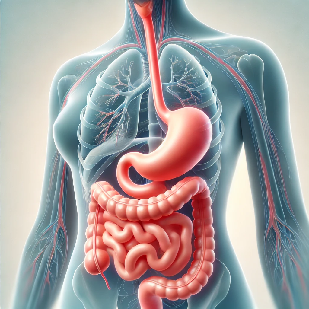 역류성 식도염을 나타내는 교육적인 사진