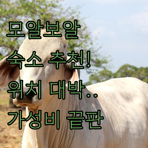 세부 모알보알 숙소 추천 가성비 좋은..