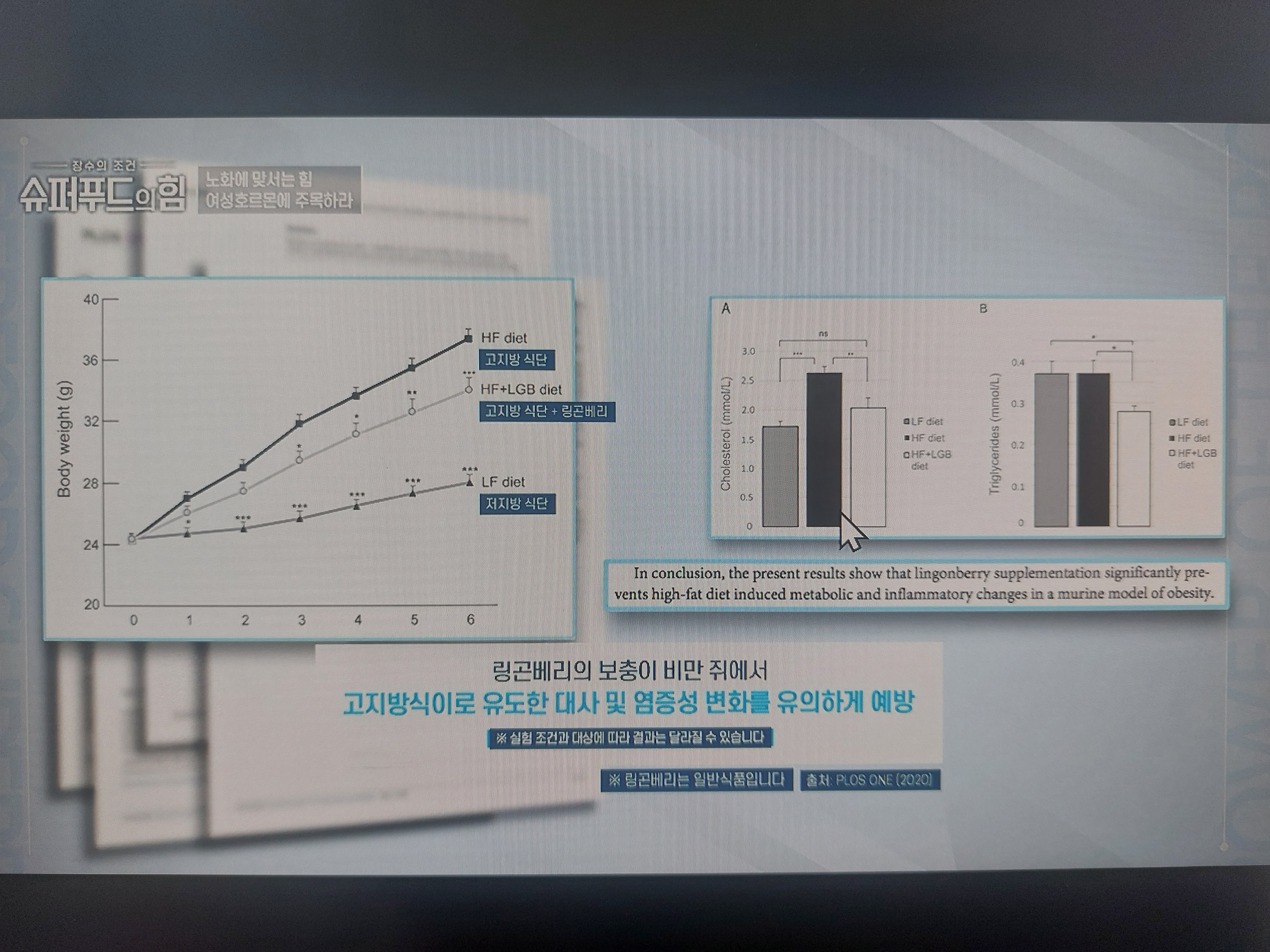 링곤베리 효능