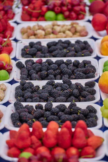 오디의 효능&amp;#44; 뽕나무 열매 속 건강 비밀 총정리3