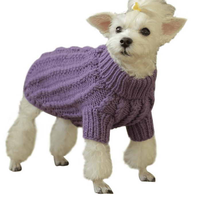 펫데일리 니트 스웨터