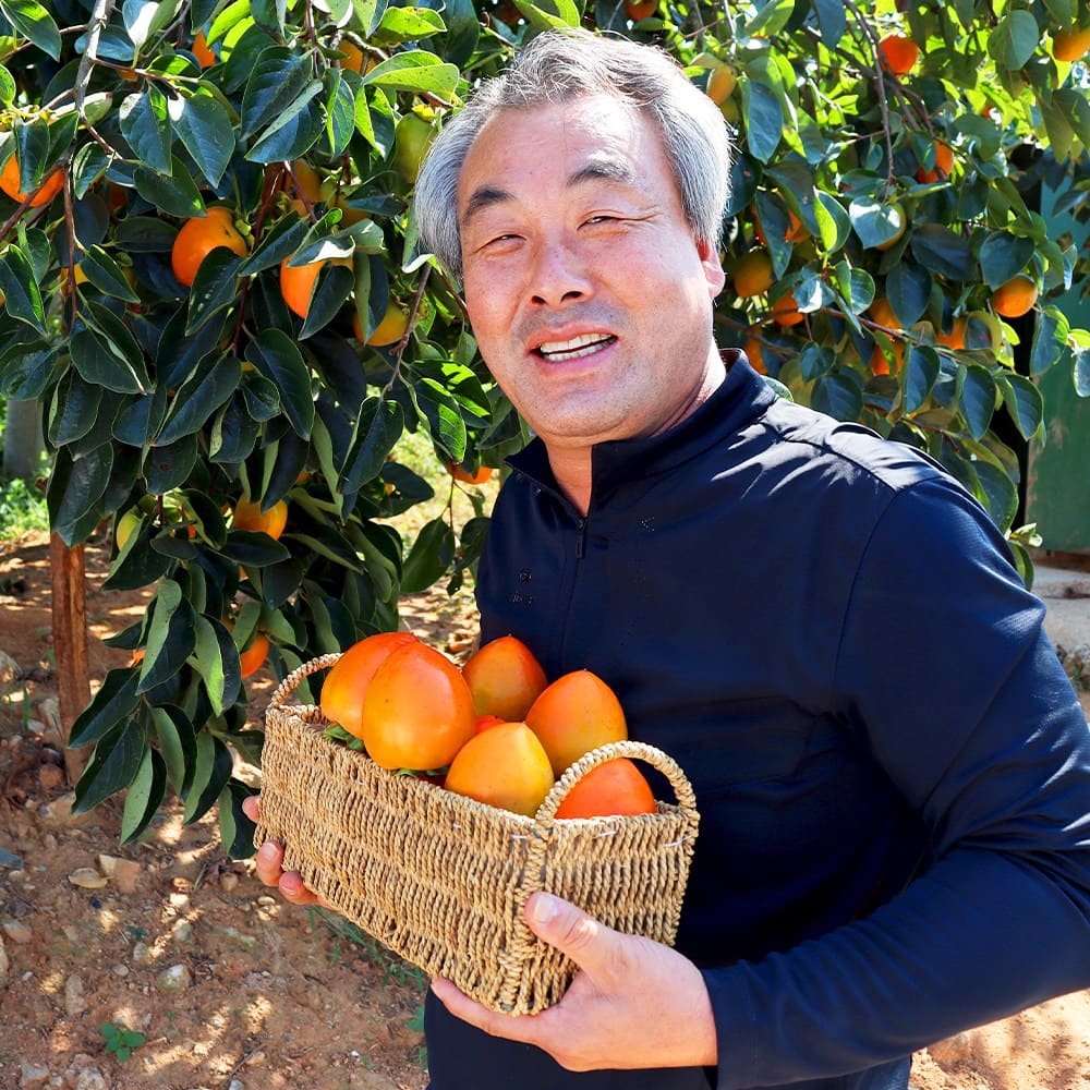 대봉감 추천 순위 TOP 5(24년 11월) - 쿠팡, 네이버 판매 랭킹 분석