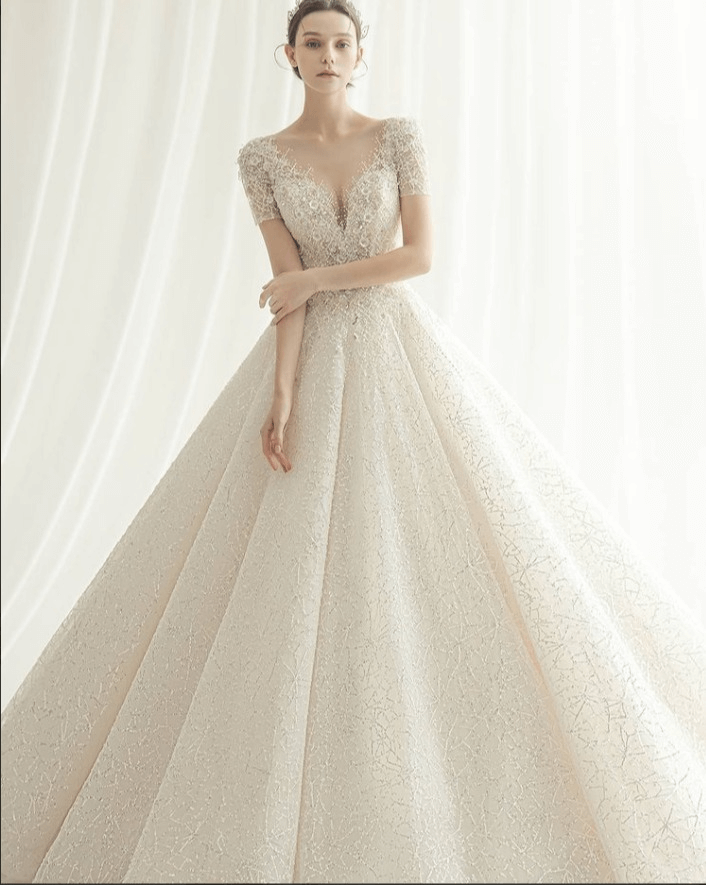 펠리스노비아-화보사진