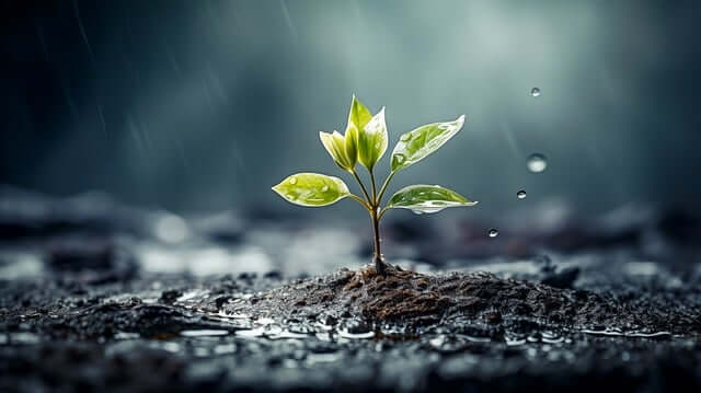 2024 경기청년복지포인트