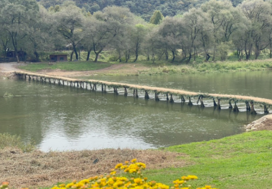 영월 섶다리의 봄