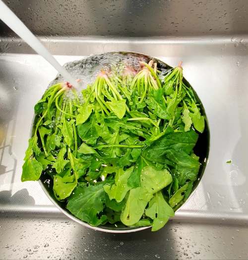 시금치-세척