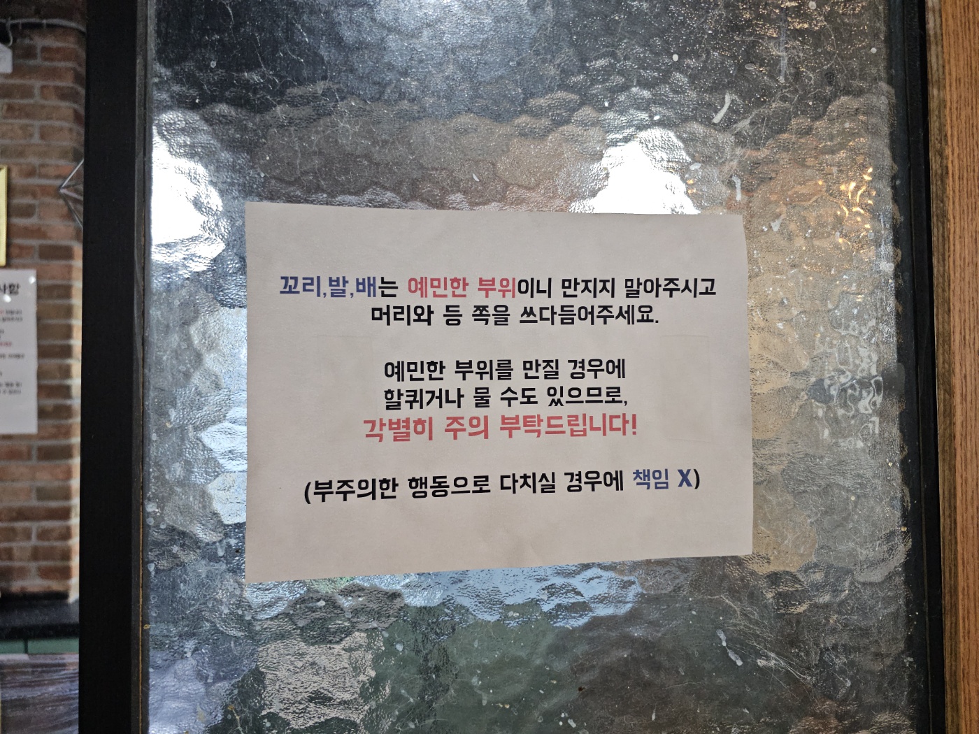 야옹이네 고양이 카페