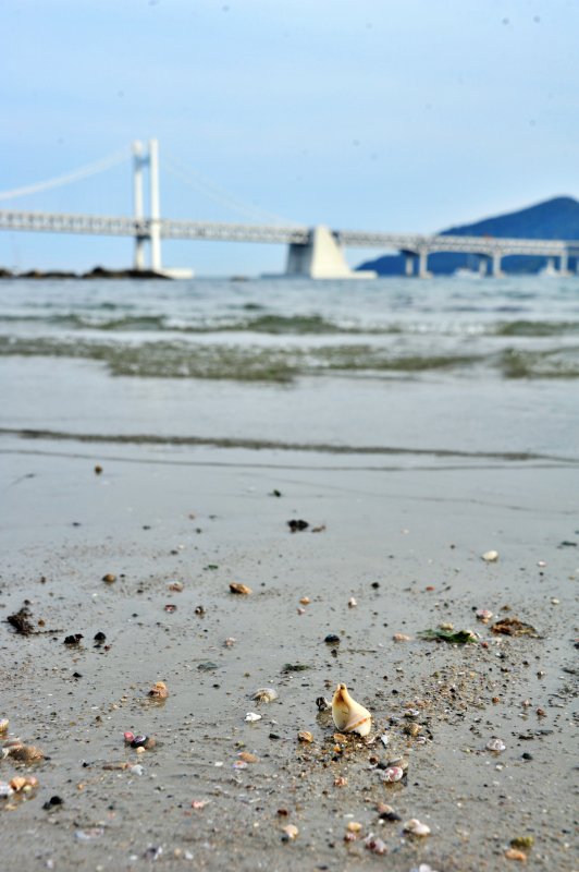 2022년 광안리 해수욕장