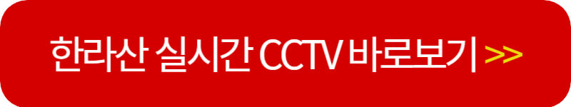 한라산-cctv-보기