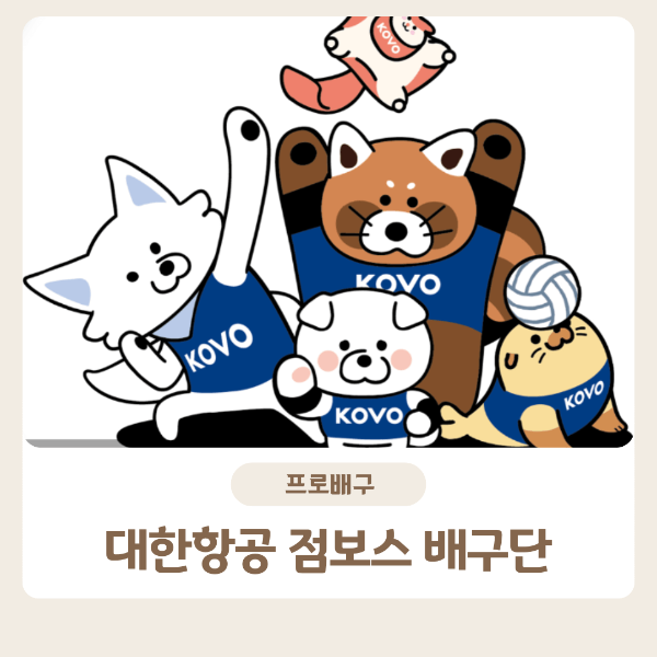 대한항공 경기일정